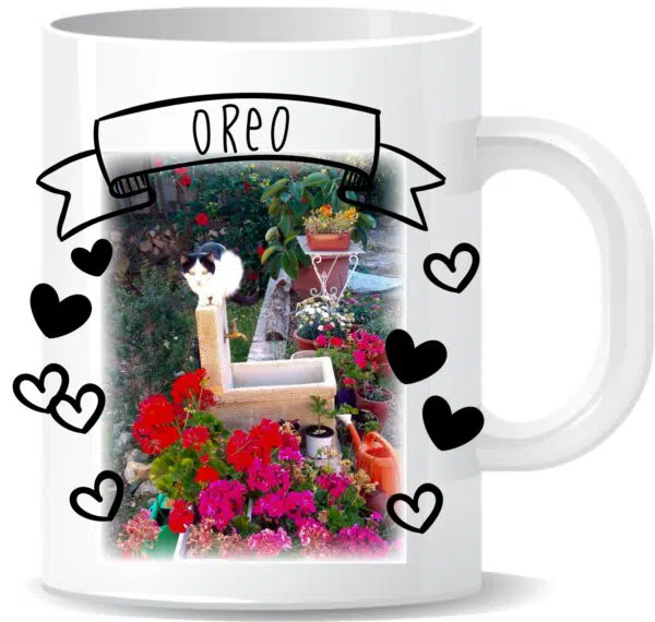 TAZA mascota