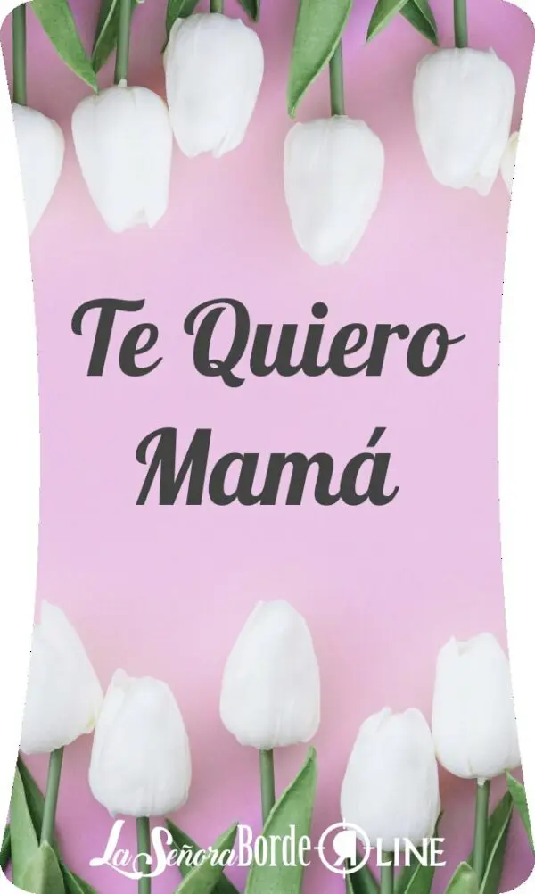 Te quiero Mamá