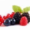 Mikado Frutos Rojos Frasco, tapón y varillas de rattan