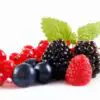 Mikado Frutos Rojos Frasco, tapón y varillas de rattan