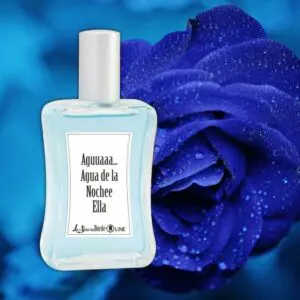 Aguuaaa...Agua de la Noche - SinLey