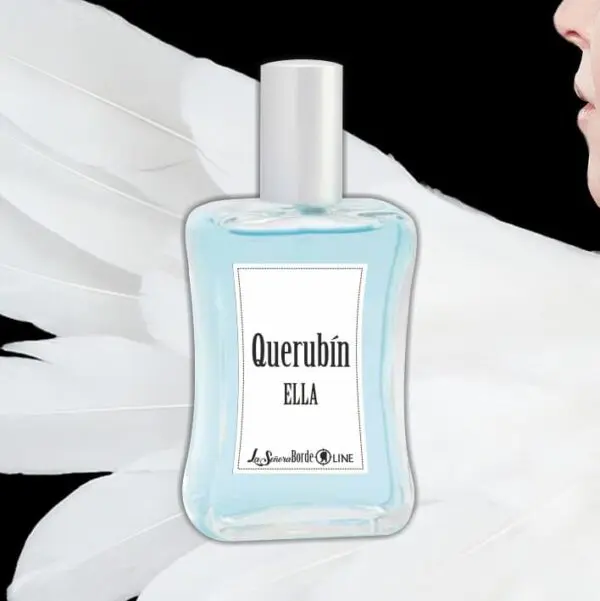 Querubín - Tierra a Marte
