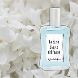 La Brisa Blanca del Prado-BY Ree Dooo