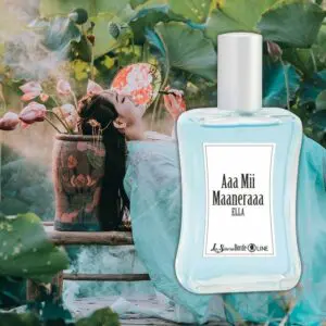 Aa mii Maneeraaaa!! - Armari
