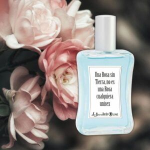 La Rosa sin tierra, no es una Rosa Cualquiera - BYY RE Dooo