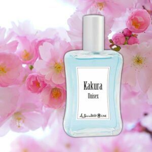 Kakura Droide - Droi