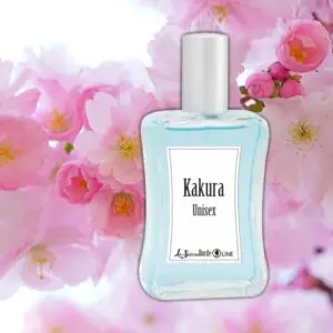 Kakura Droide - Droi