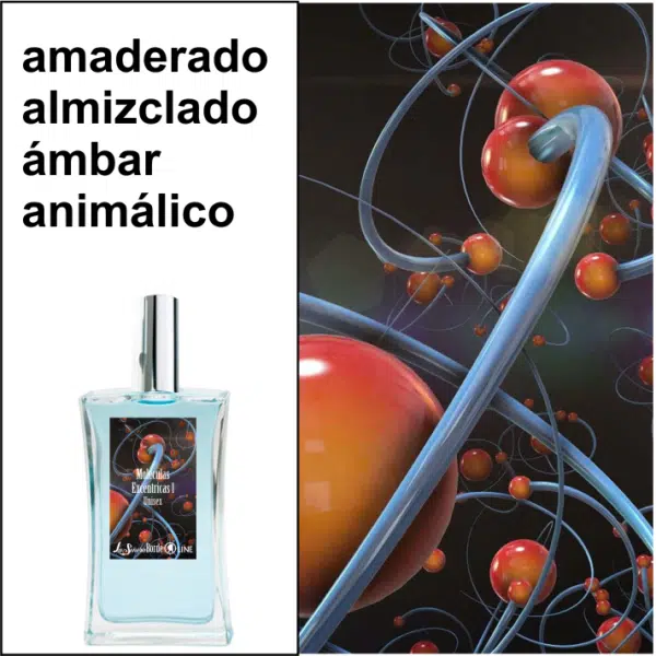 moleculas 1 – señora borde
